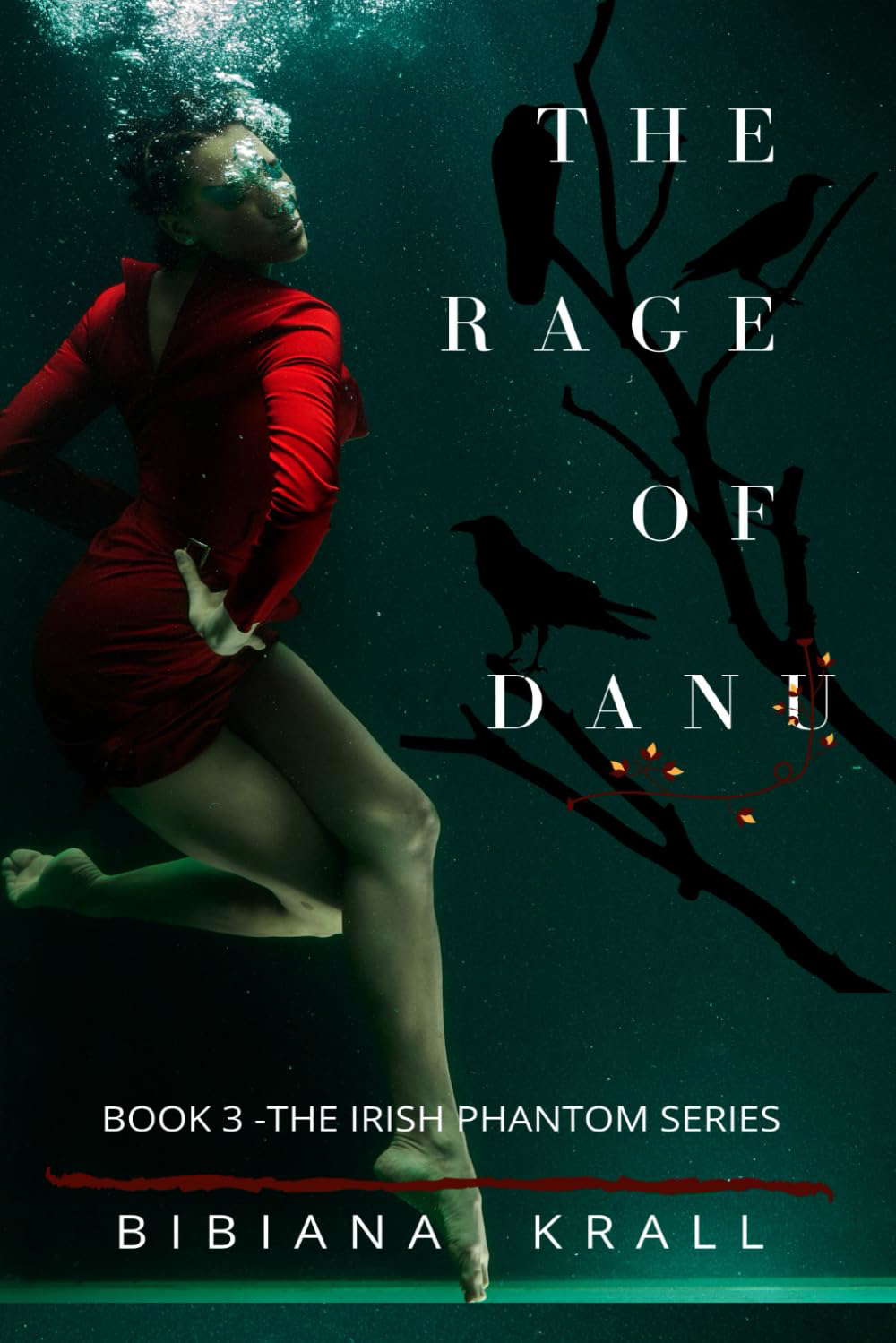 The Rage of Danu (The Irish Phantom Series) poster