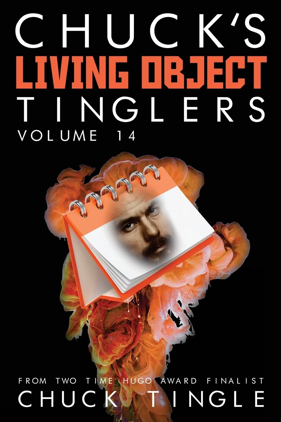 Chuck's Living Object Tinglers: Volume 14 poster