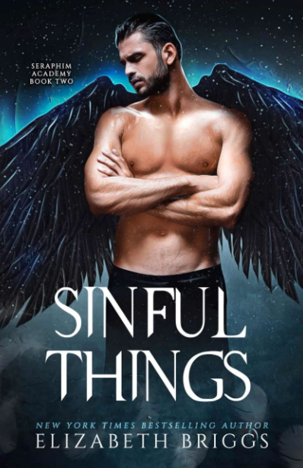 Seraphim Academy 2: Sinful Things poster