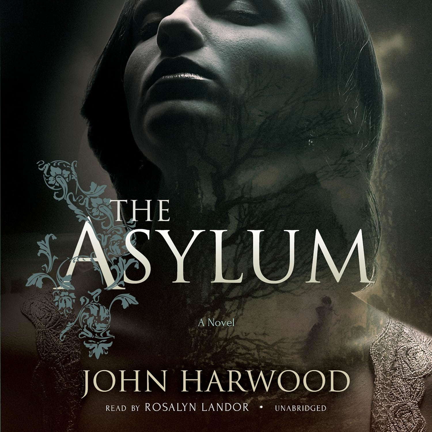 The Asylum poster