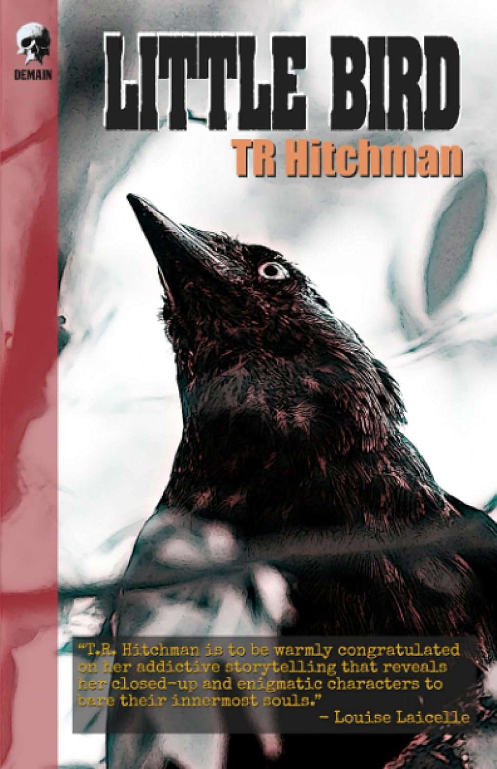 Little Bird poster