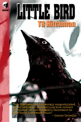 Little Bird poster