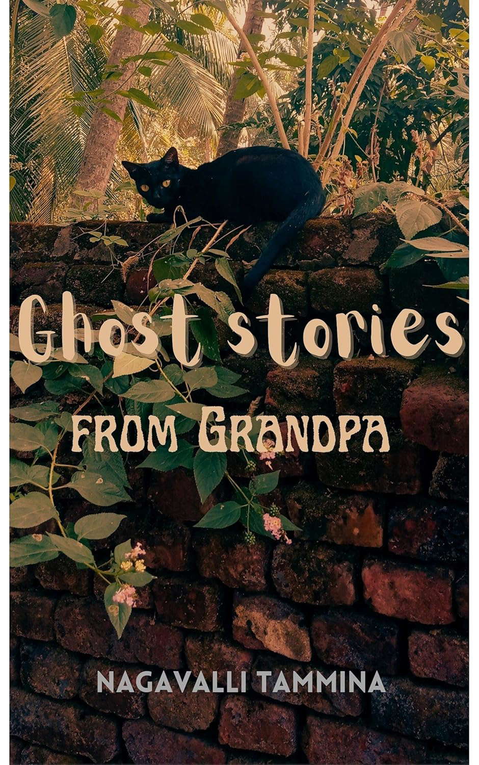 Ghost Stories From Grandpa poster