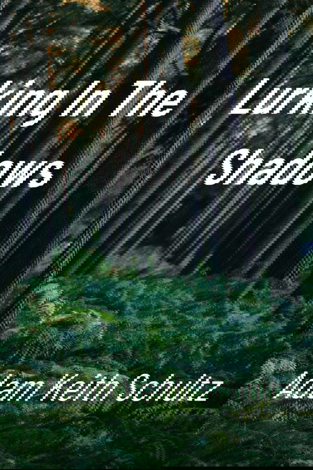 Lurking in the Shadows poster