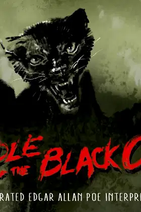Riddle of the Black Cat: An Illustrated Edgar Allan Poe Interpretation poster