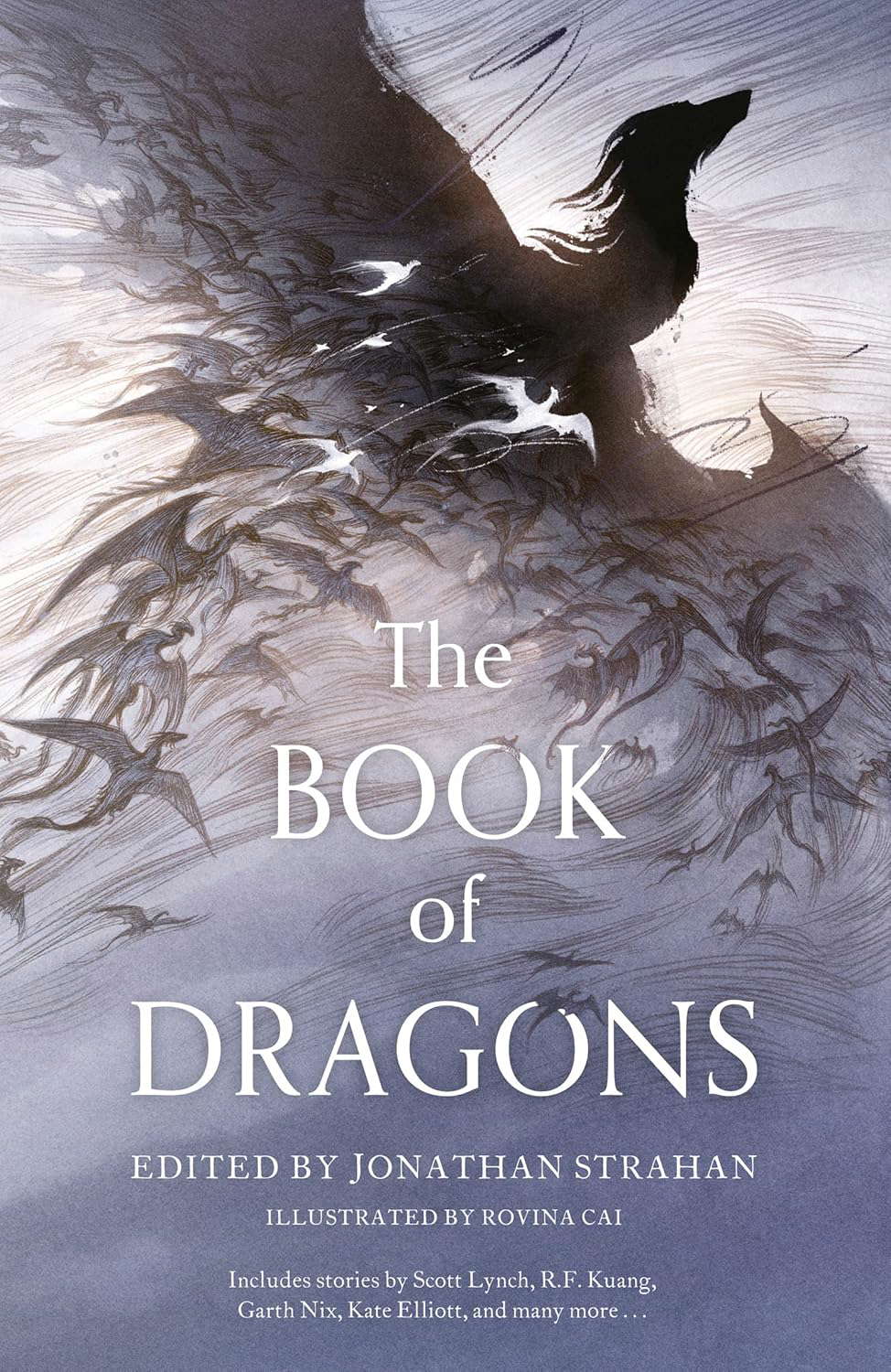 The Book of Dragons poster