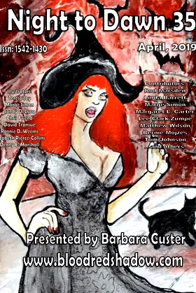 Night to Dawn 35 poster