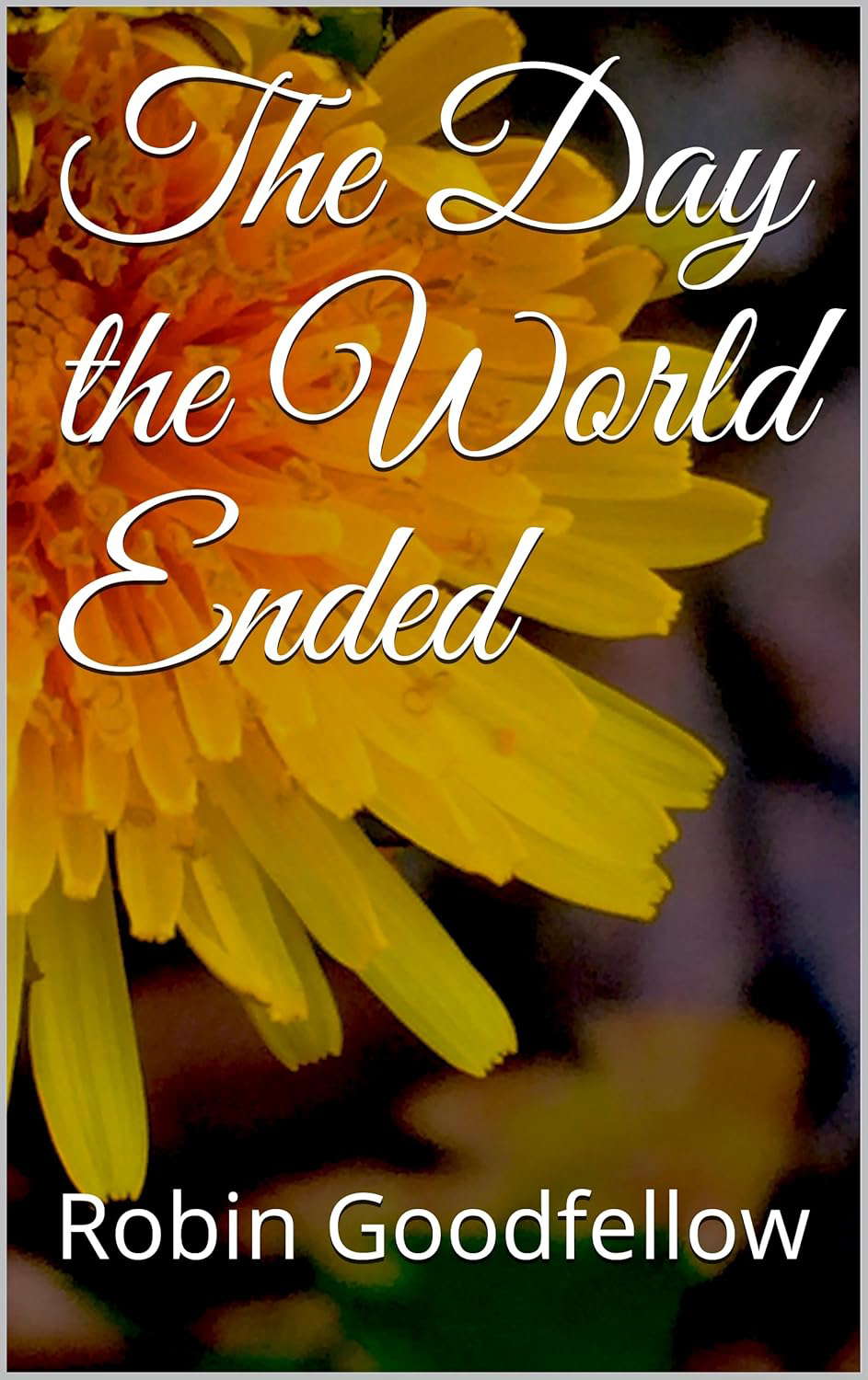 The Day the World Ended poster