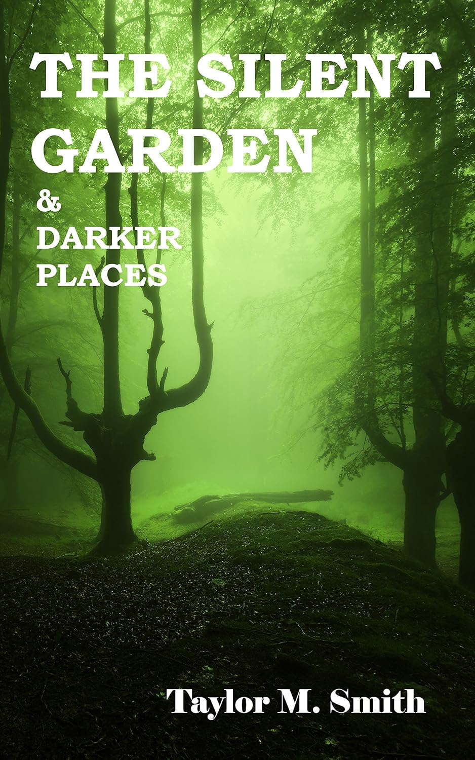 The Silent Garden & Darker Places poster