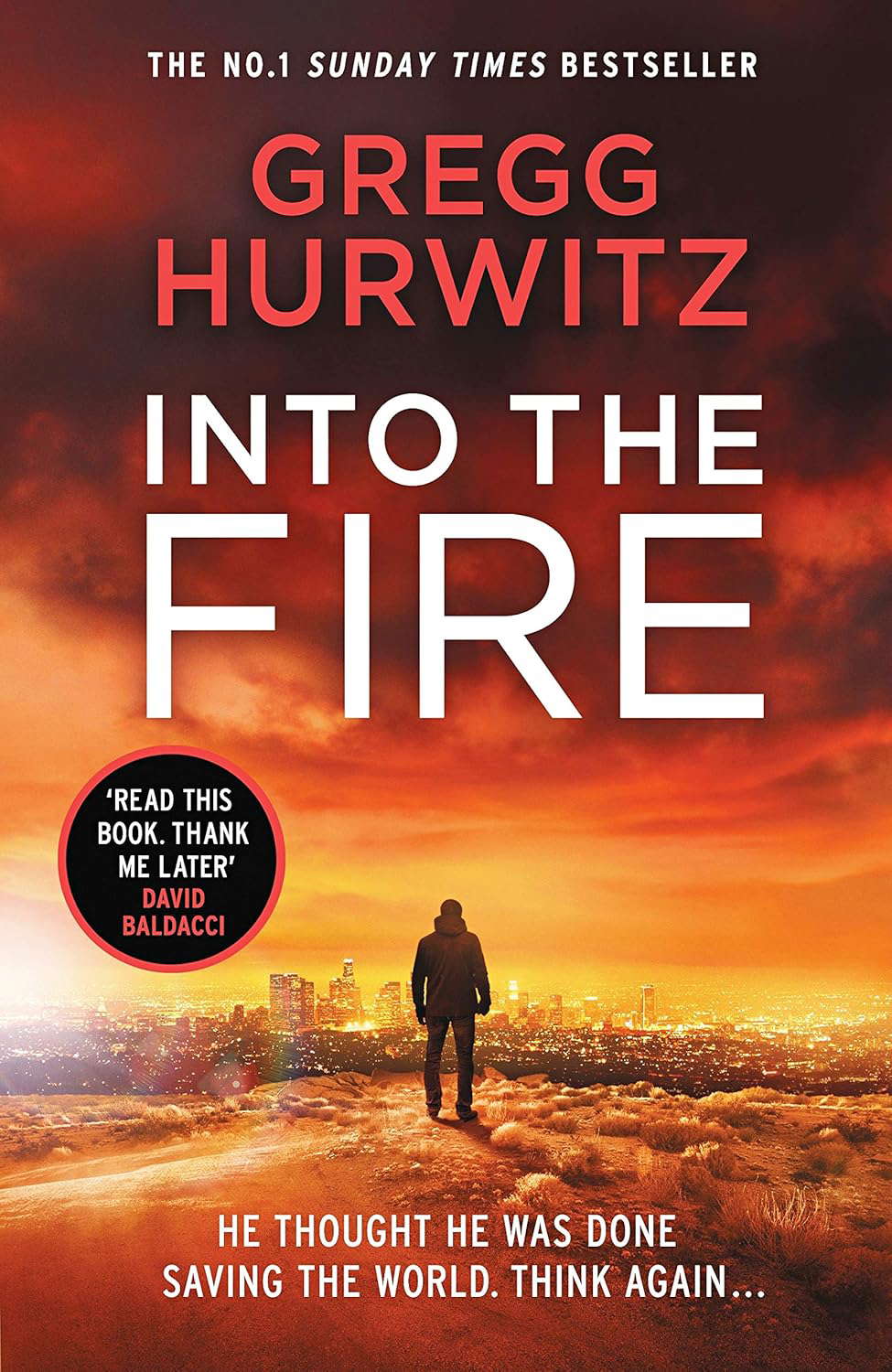 Into the Fire (An Orphan X Thriller) poster