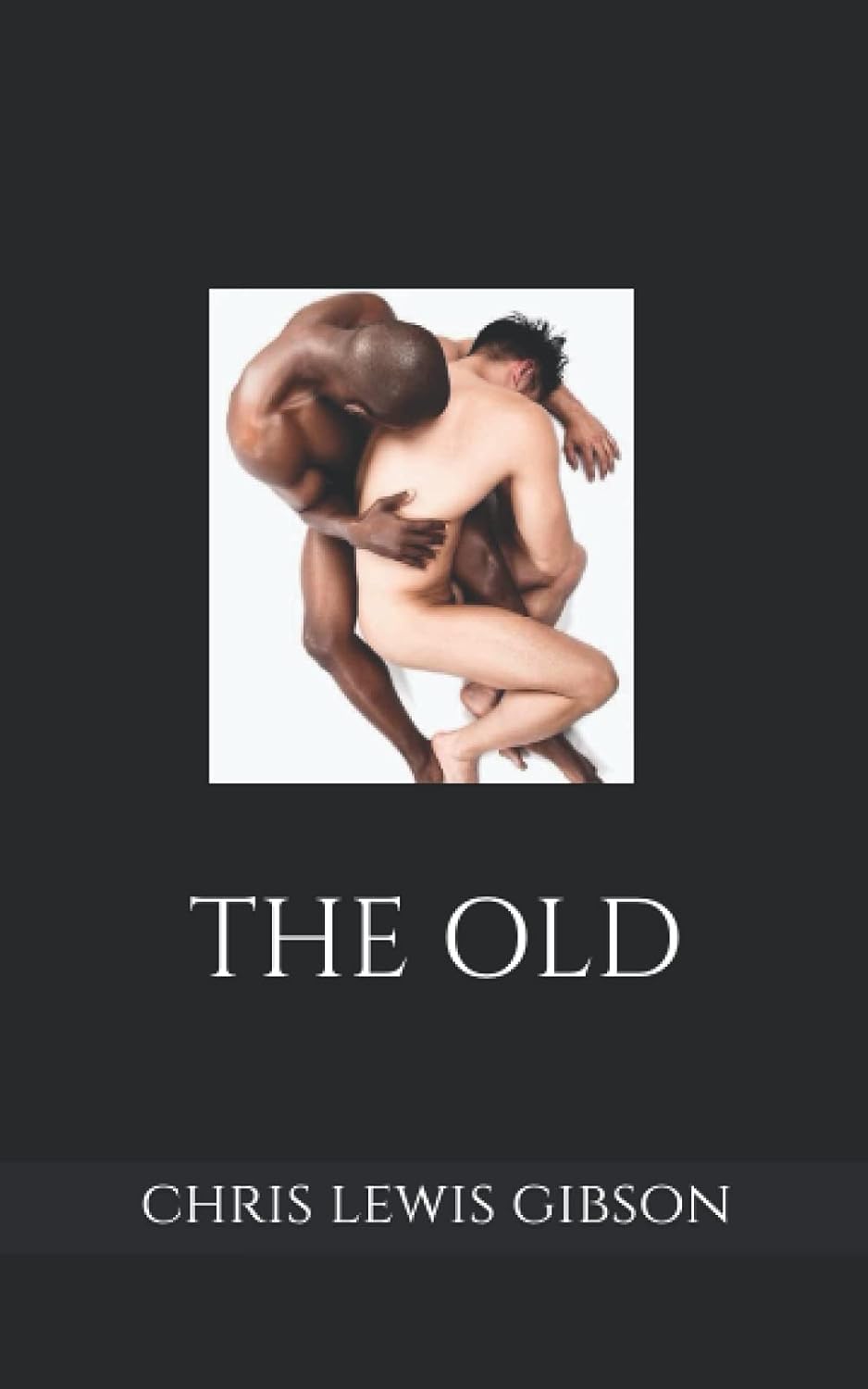 The Old: A Night Novel (Blood, Vein and Tooth) poster