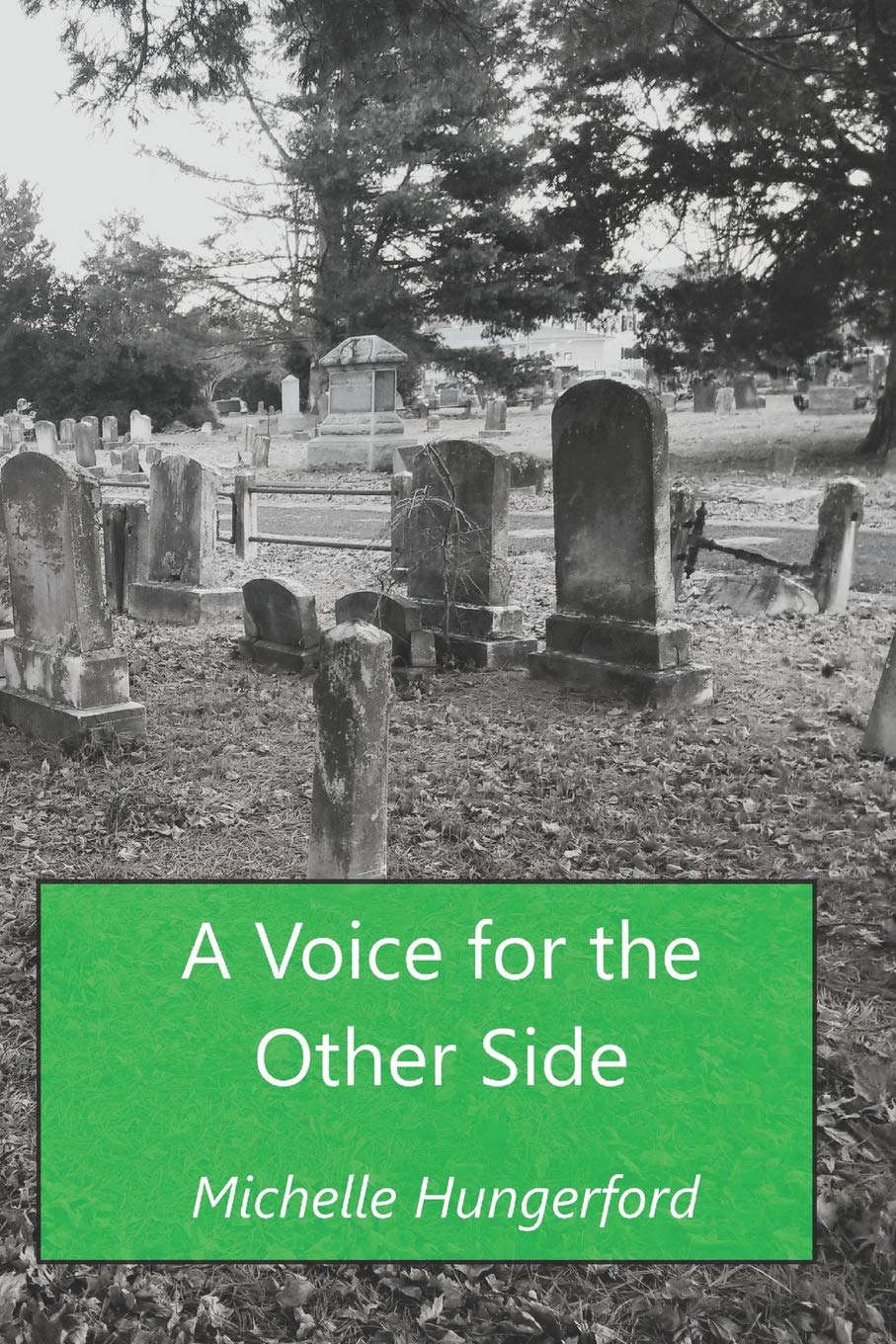 A Voice for the Other Side poster