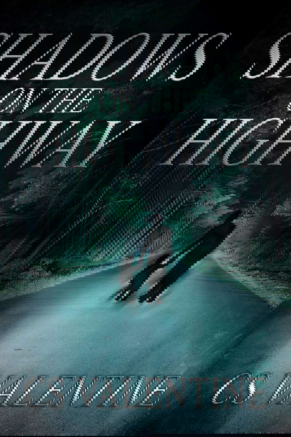 Shadows on the Highway poster