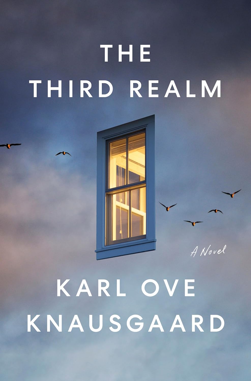 The Third Realm: A Novel poster