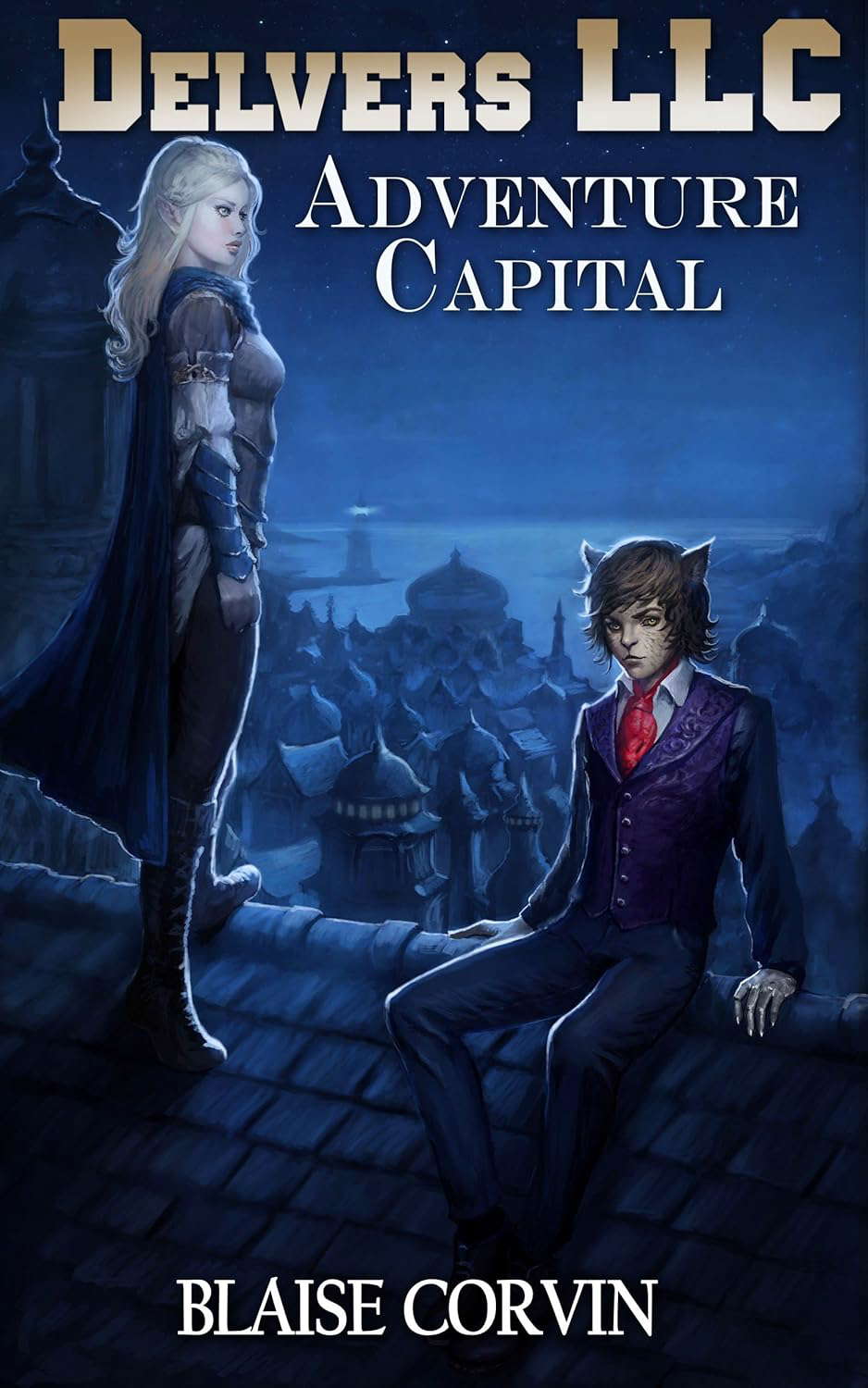 Delvers LLC: Adventure Capital poster