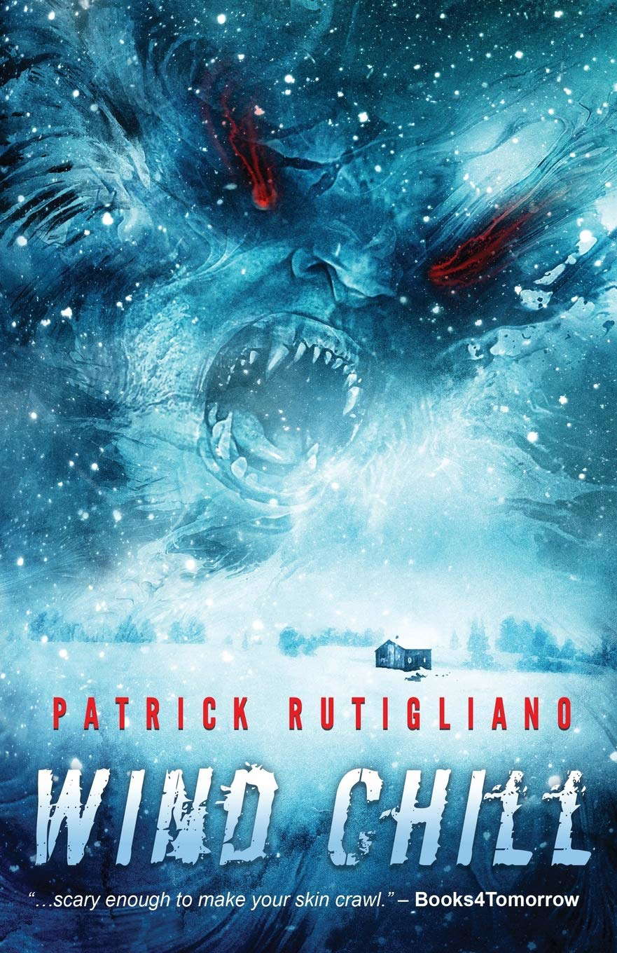 Wind Chill poster
