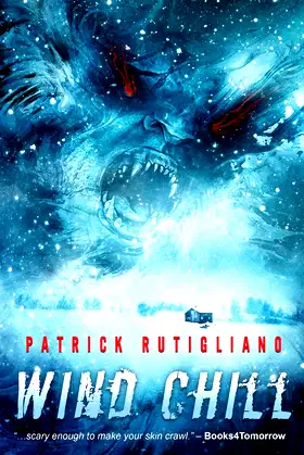 Wind Chill poster