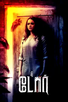 The Door poster