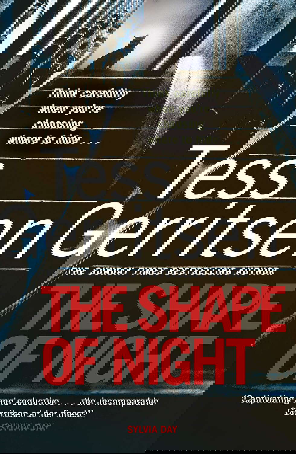The Shape of Night poster