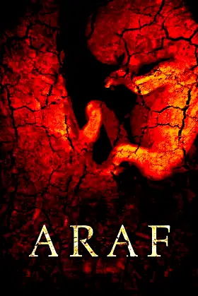Araf poster