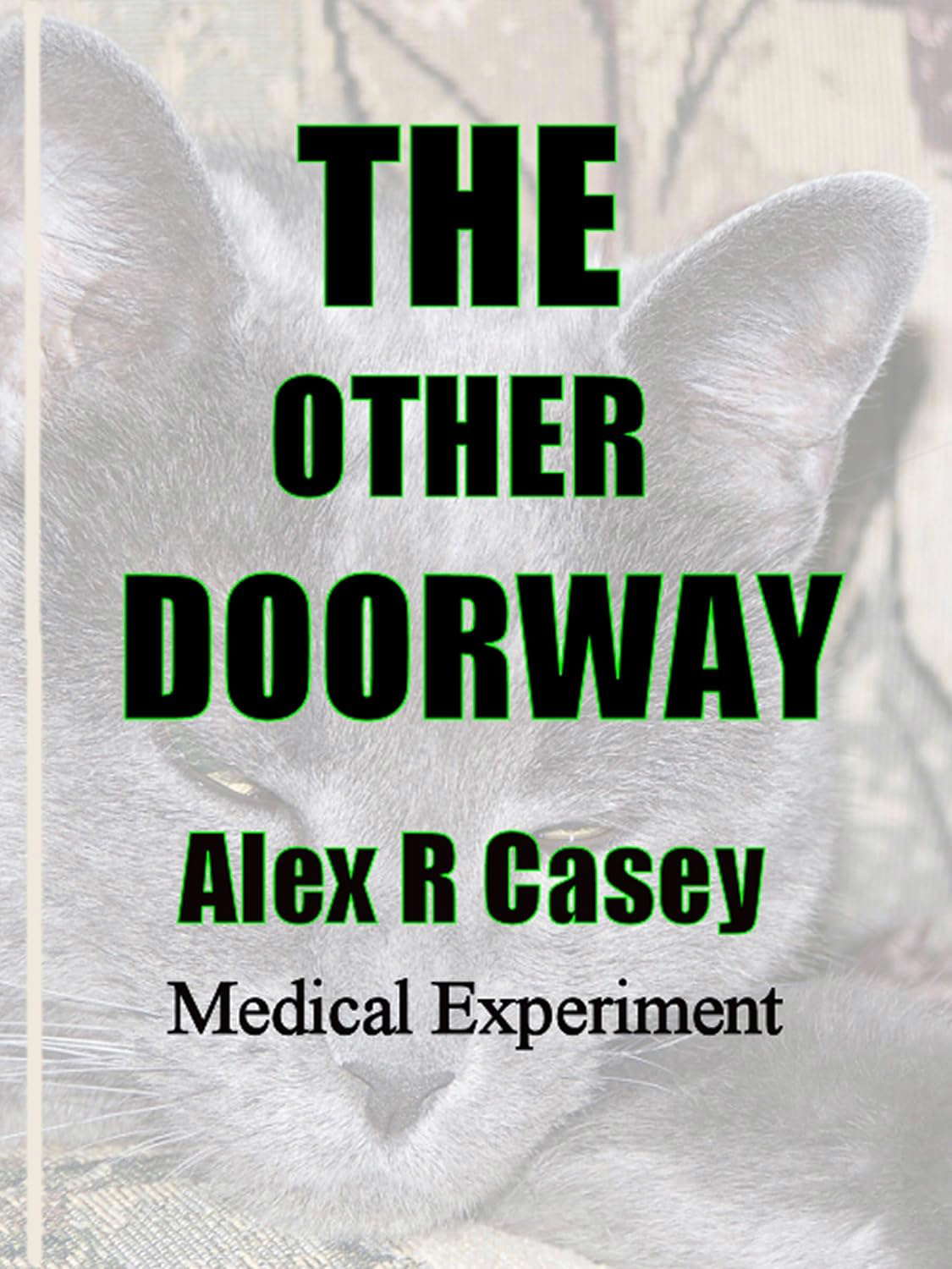 The Other Doorway poster