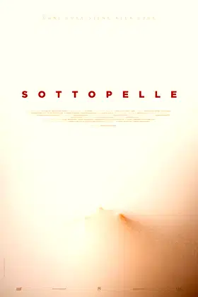 Sottopelle poster