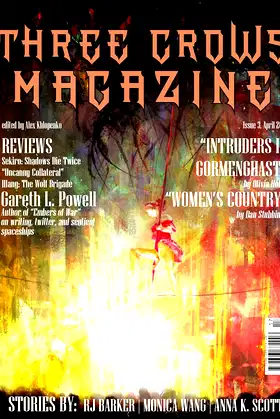Three Crows Magazine #3 poster