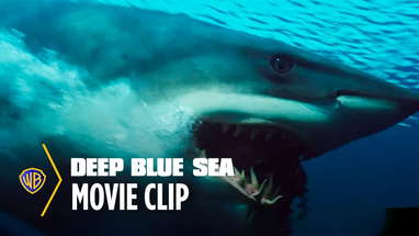 Shark Escape poster