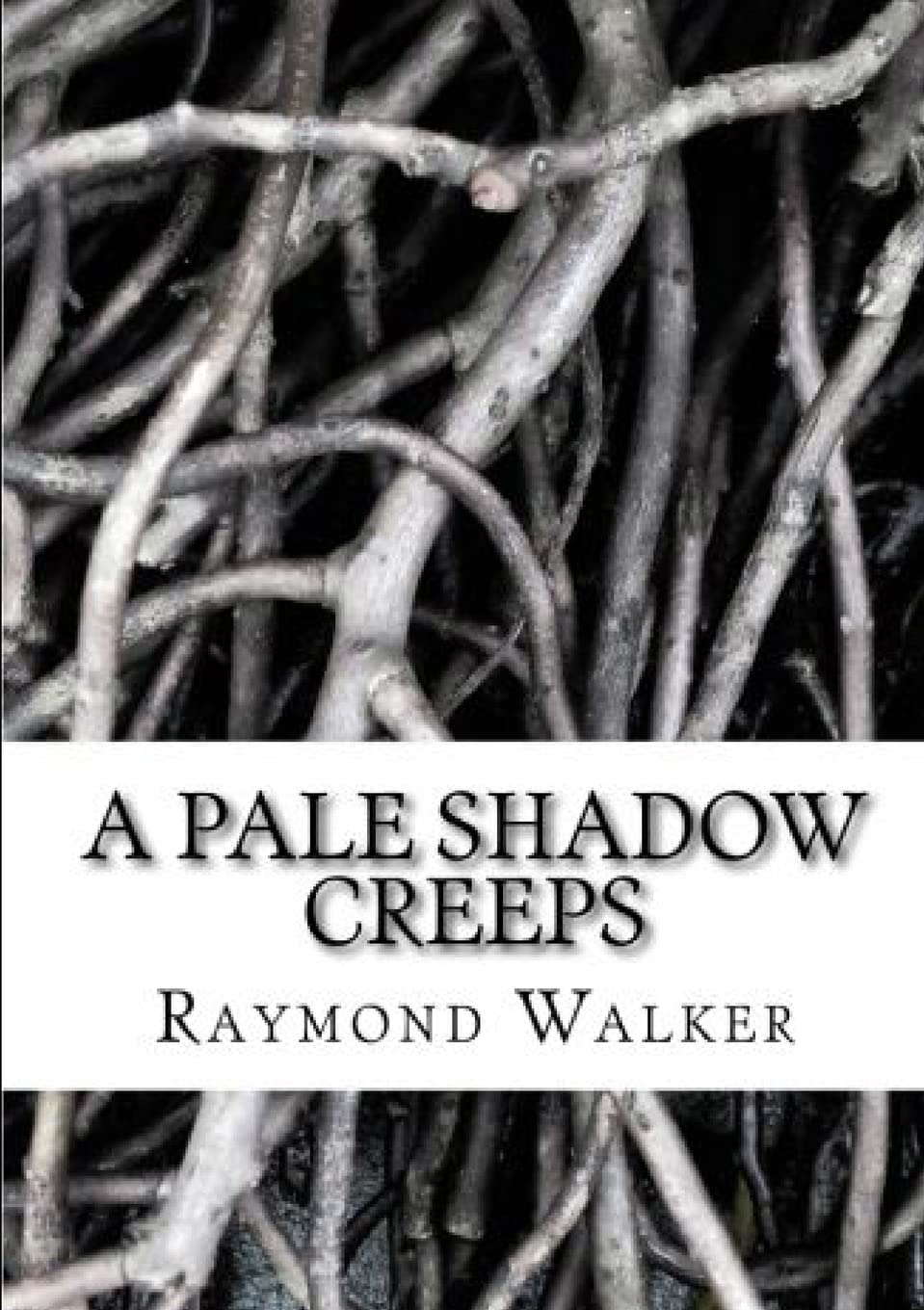 A Pale Shadow Creeps poster
