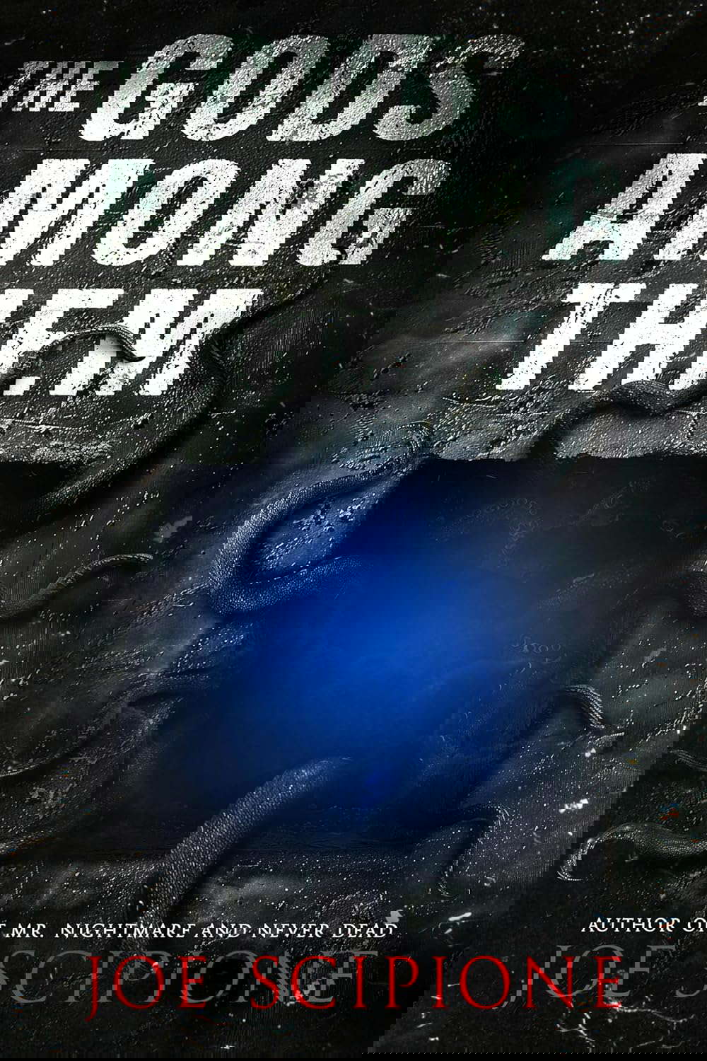 The Gods Among Them: A Novel poster