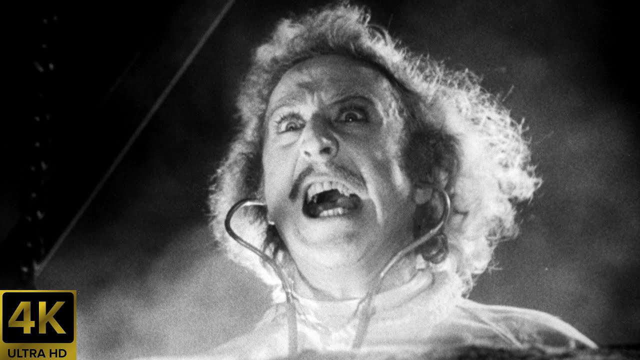 Poster for Young Frankenstein