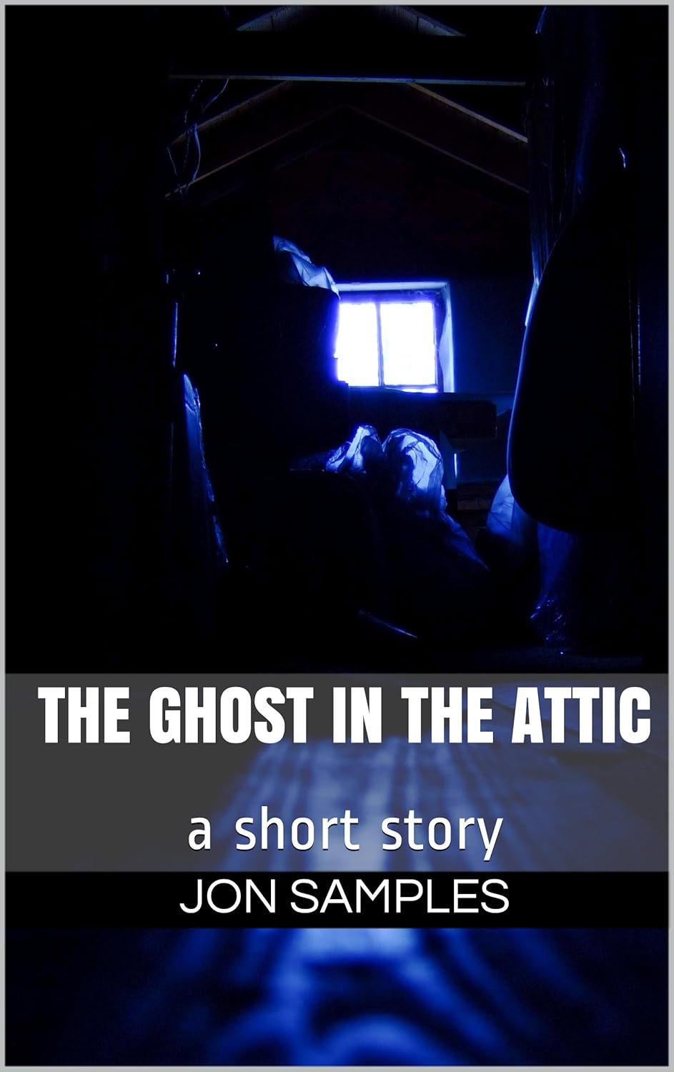 The Ghost in the Attic poster
