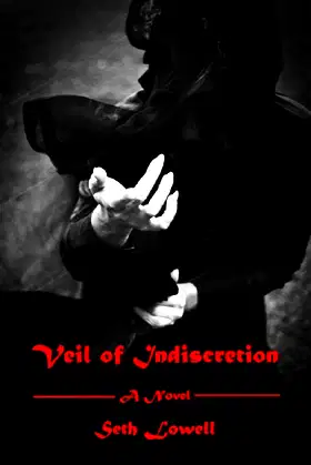 Veil of Indiscretion poster