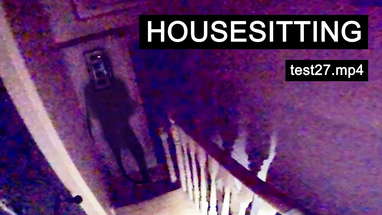 HOUSESITTING (Found Footage) poster