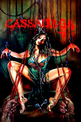 Cassadaga poster