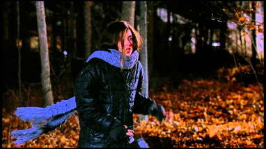 Wolf Attacks Girl In Park poster