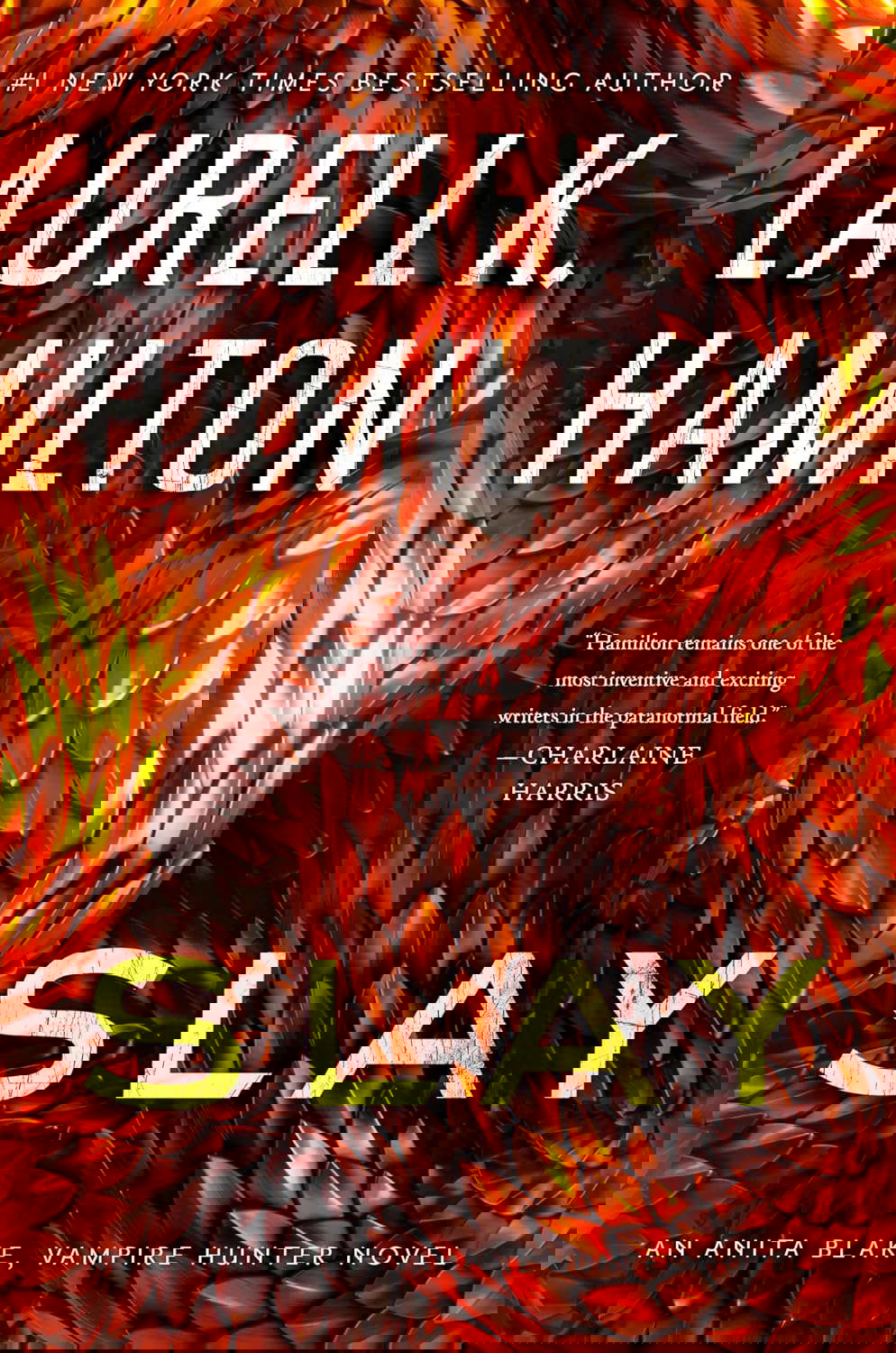 Slay (Anita Blake, Vampire Hunter) poster