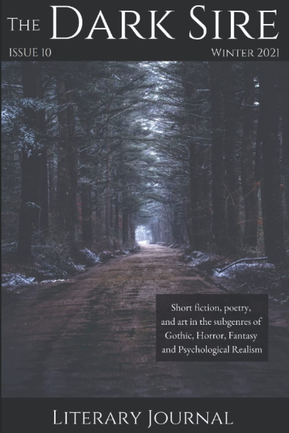The Dark Sire: Issue 10 (Winter 2021) poster