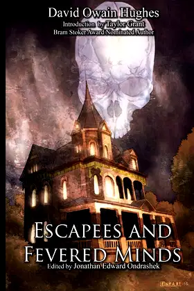 Escapees & Fevered Minds poster