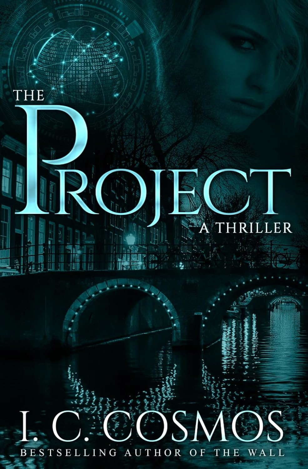 The Project (Helen Dillon Thrillers) poster