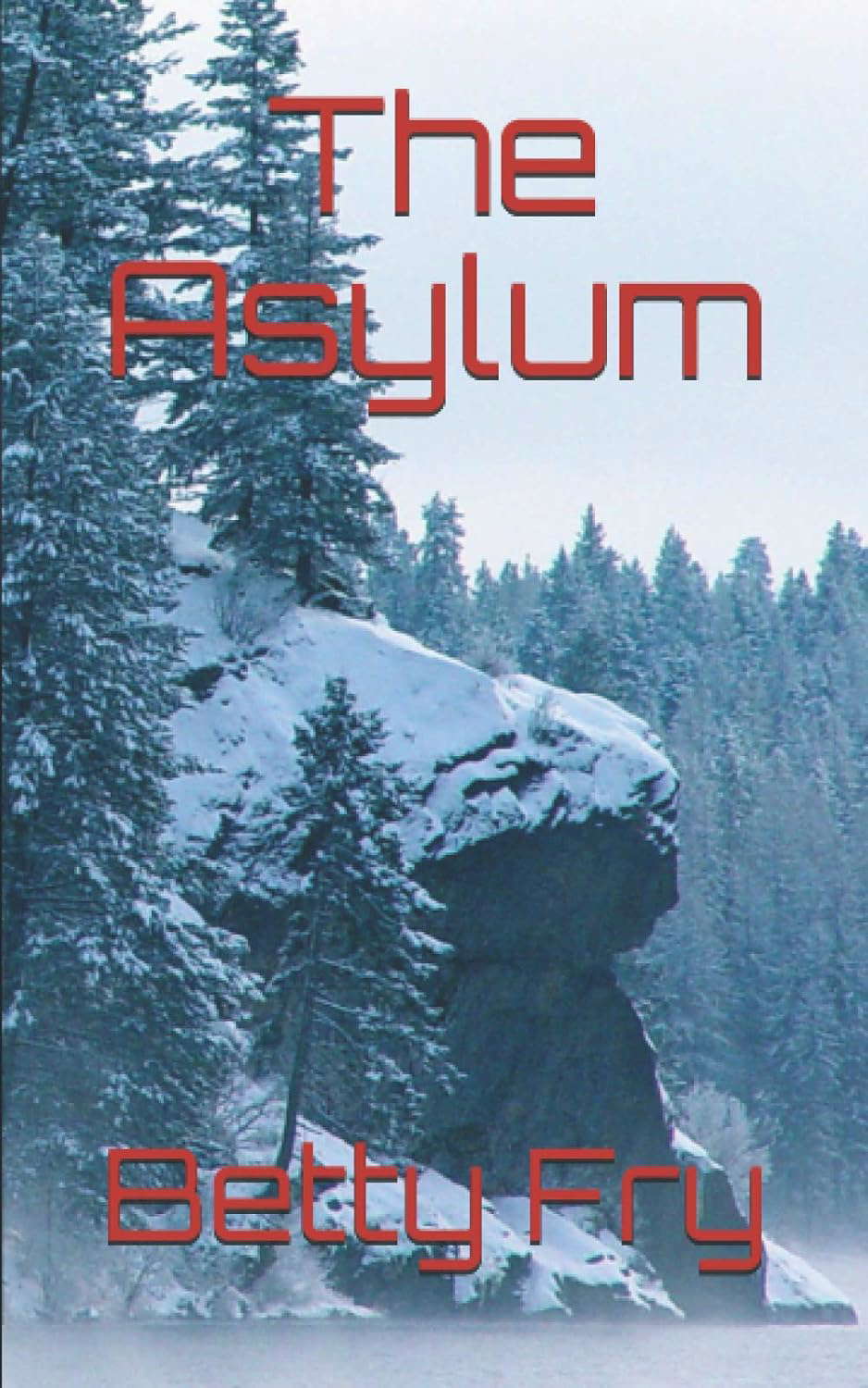 The Asylum poster