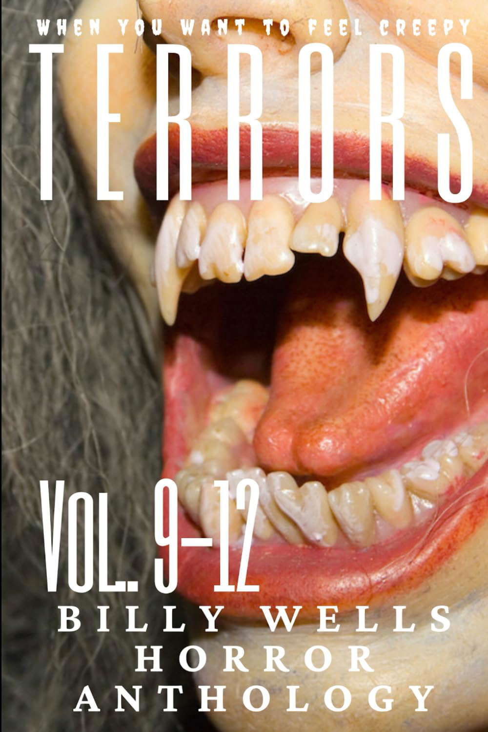 Terrors- Volumes 9-12 poster