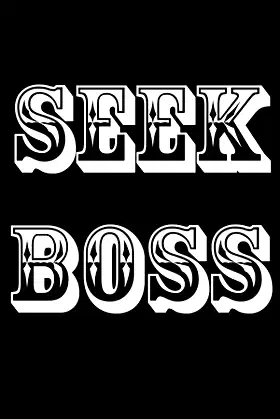 SEEKBOSS poster