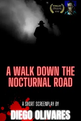 A Walk Down The Nocturnal Road poster