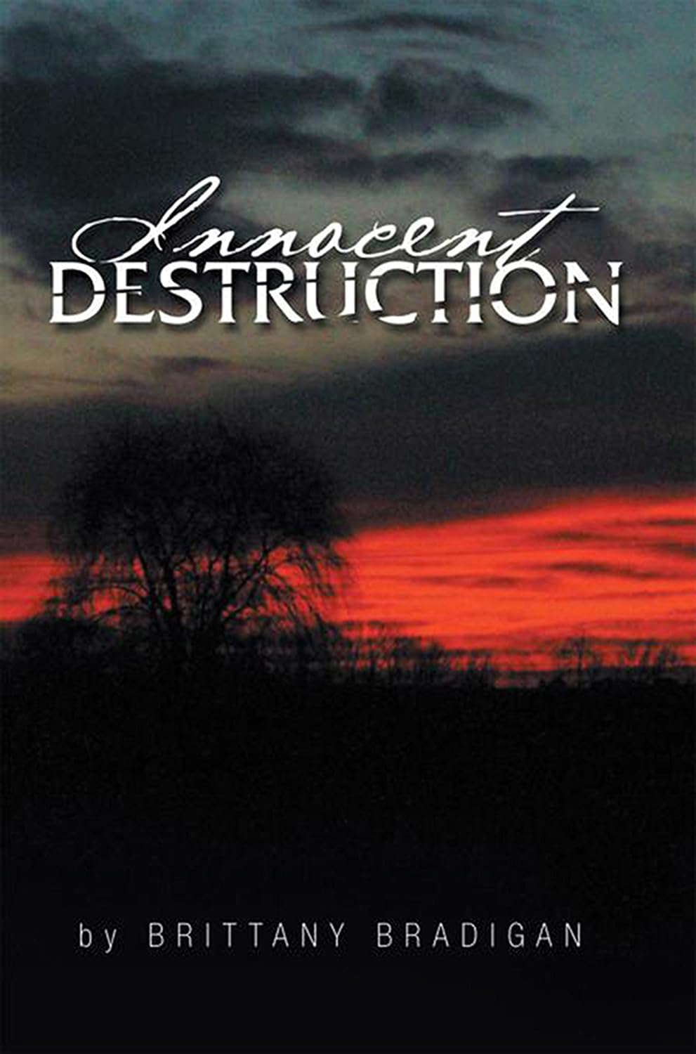 Innocent Destruction poster