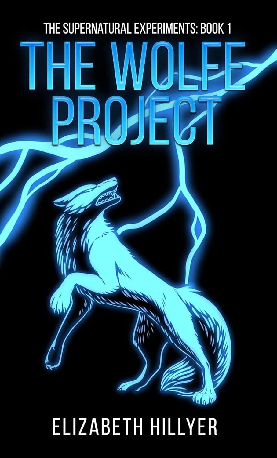 The Wolfe Project: The Supernatural Experiments: Book 1 poster