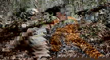 episode poster