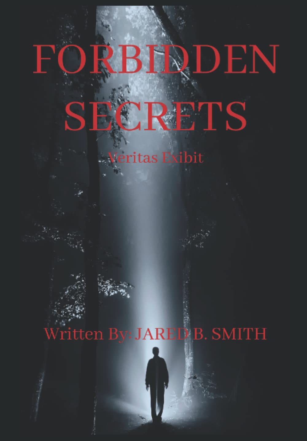Forbidden Secrets poster