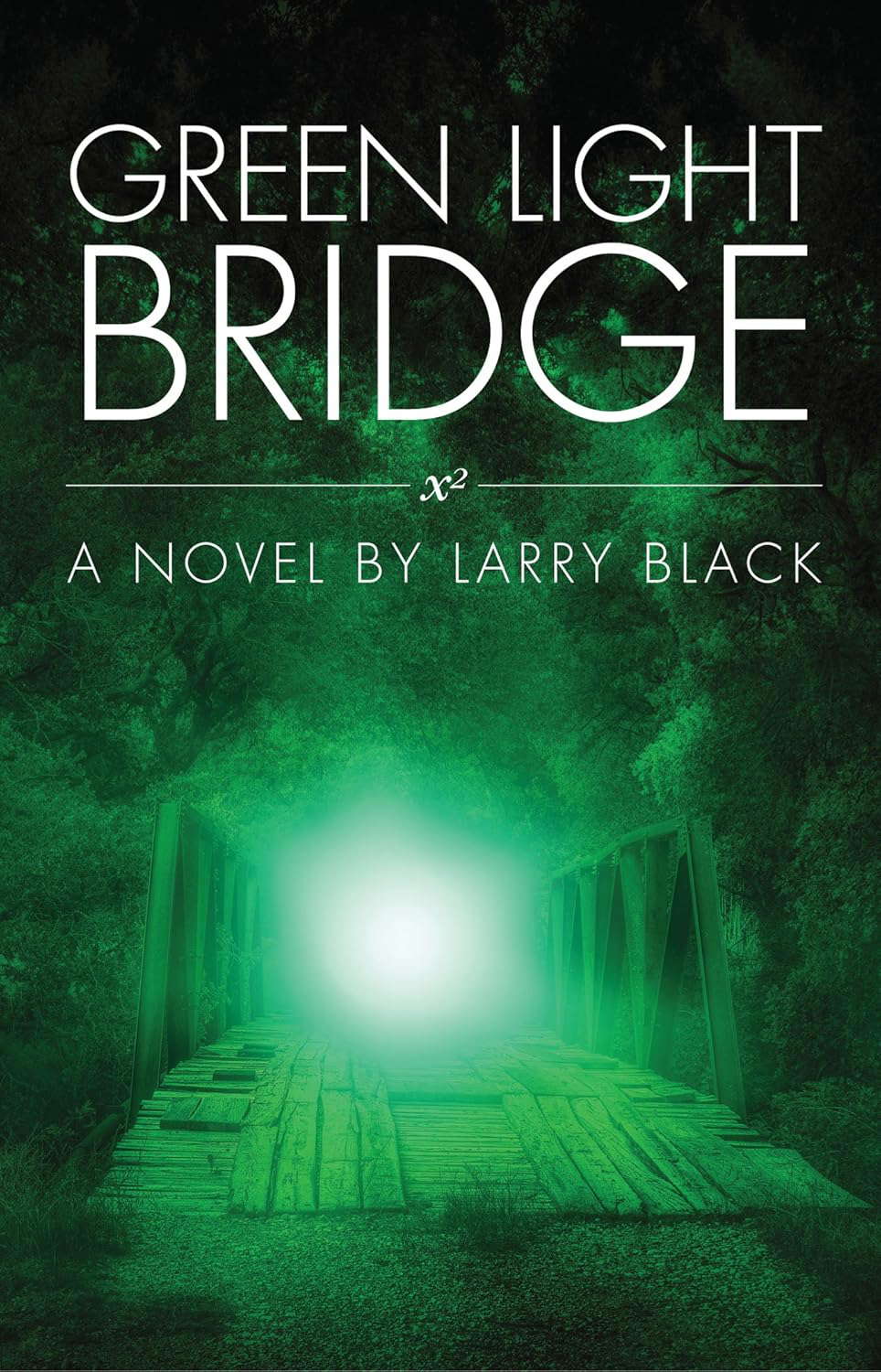 Green Light Bridge poster