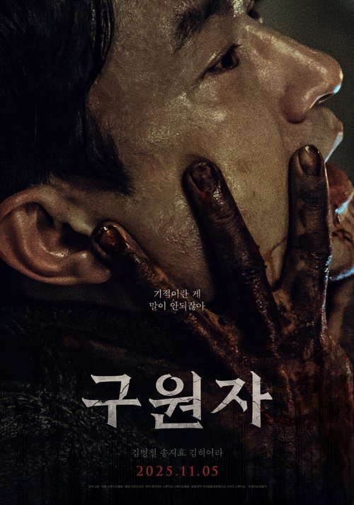 The Favor poster